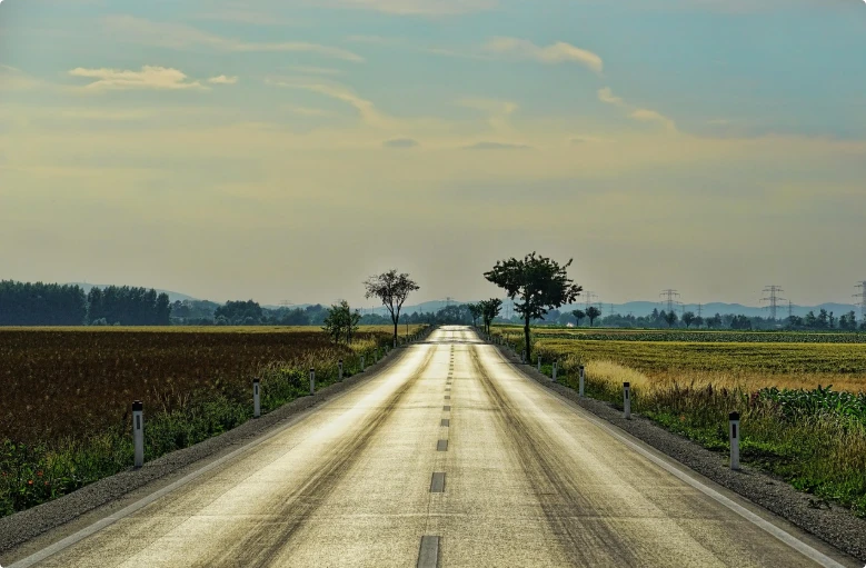 高雄情侶可以去哪裡約會?高雄情侶約會地點大公開,情侶約會聖地報你知!-圖片來源:pixabay