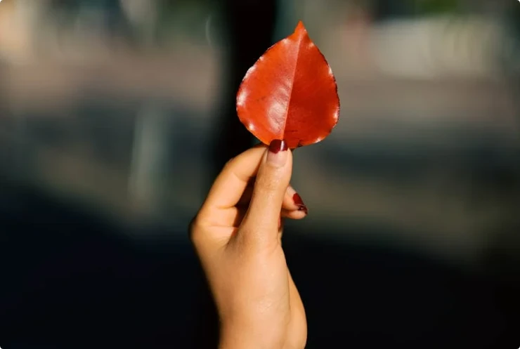 交往5-10年以上的情侶為什麼不結婚？