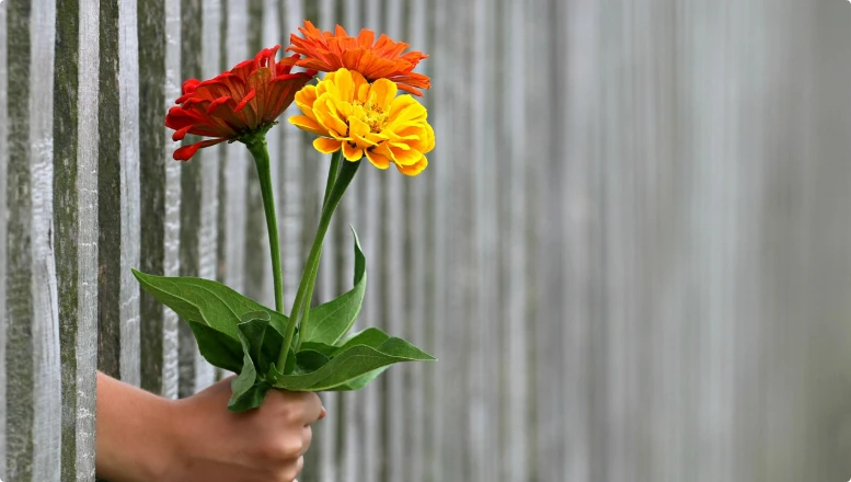 【語錄文案】再怎麼絕情的人，也經不起你對他這樣說