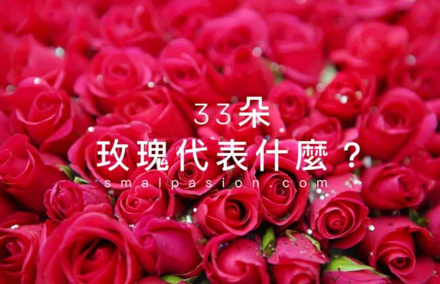 33朵玫瑰代表什麼?