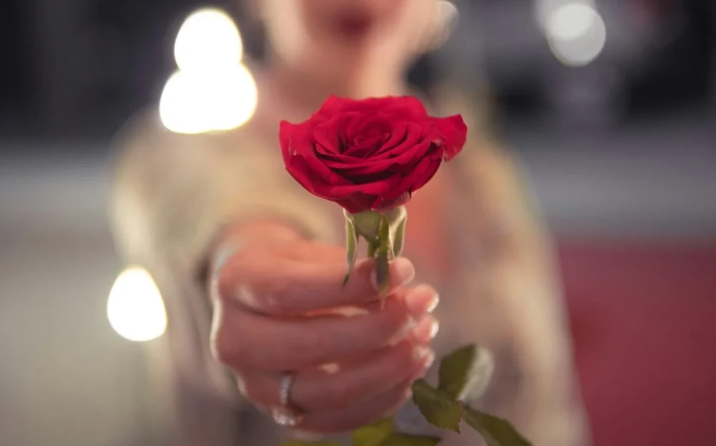 告白要送什麼顏色的花？-第1張圖片