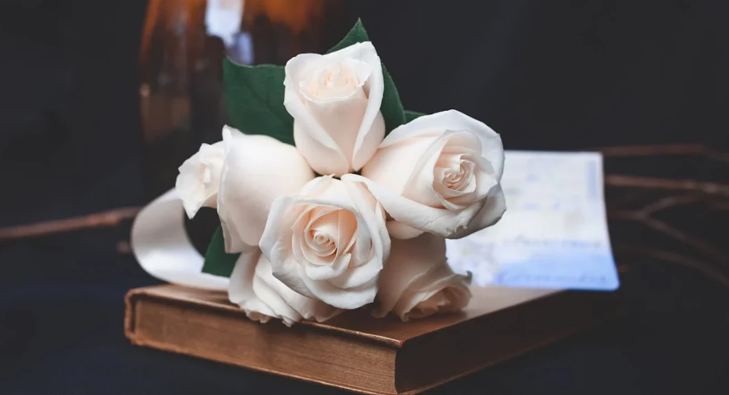 送白玫瑰是什麼意思？怕搞錯？教你收到白玫瑰如何回應！-第4張圖片