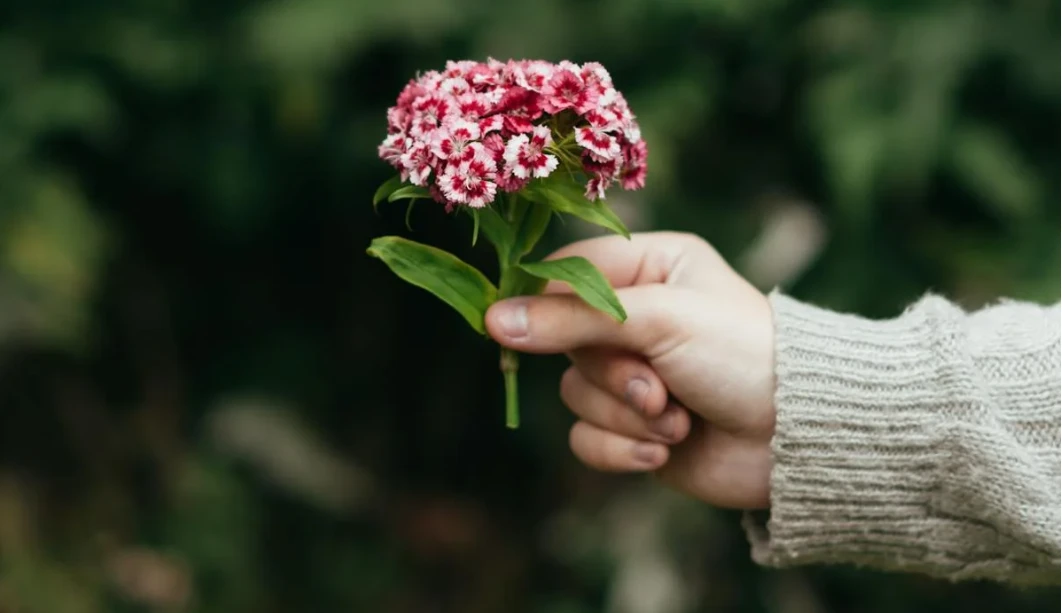 不會談戀愛的男人？想脫單必看！學會這幾招讓你告別單身｜SmalPasion文章配圖3